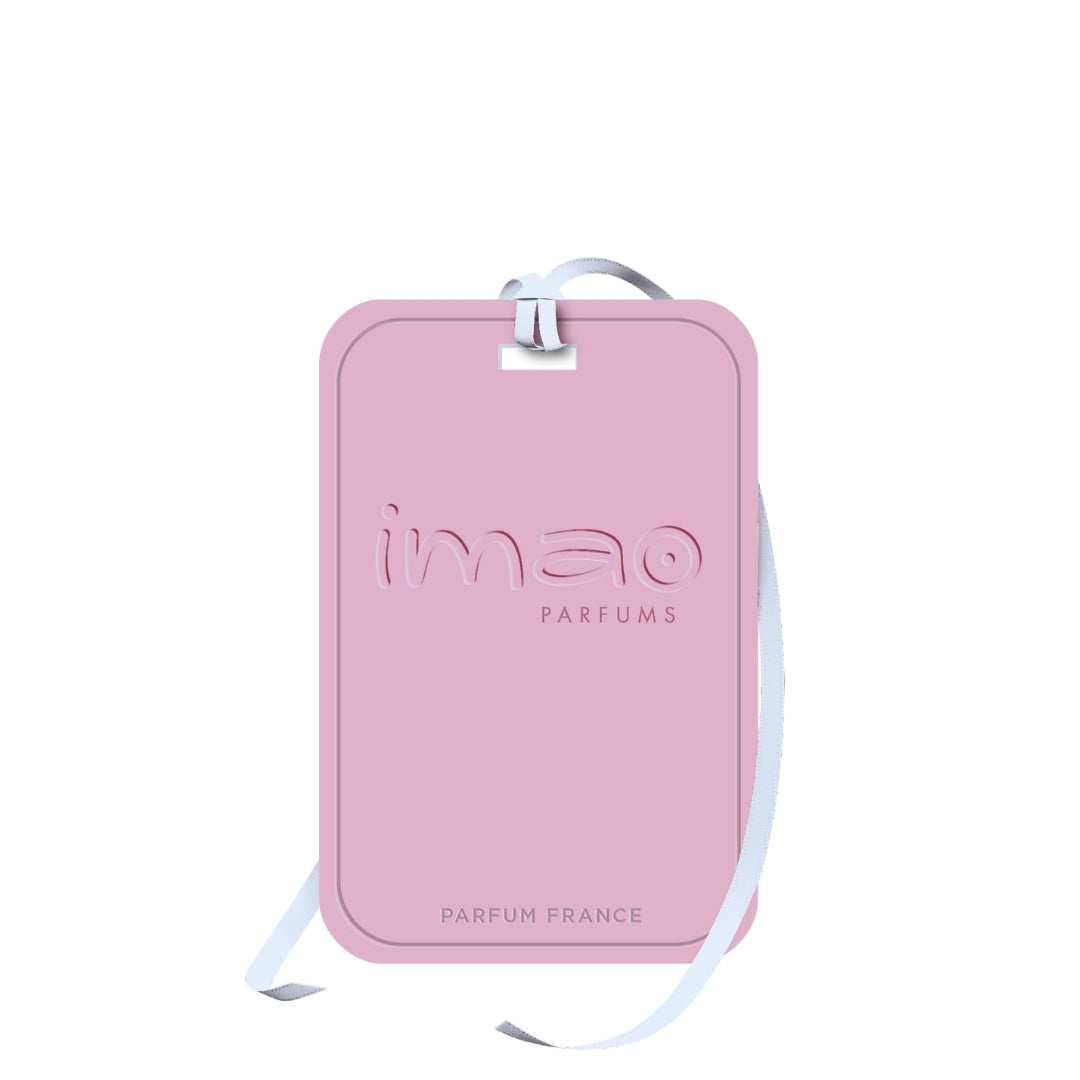 Ambientador Imao Primavera em Tóquio