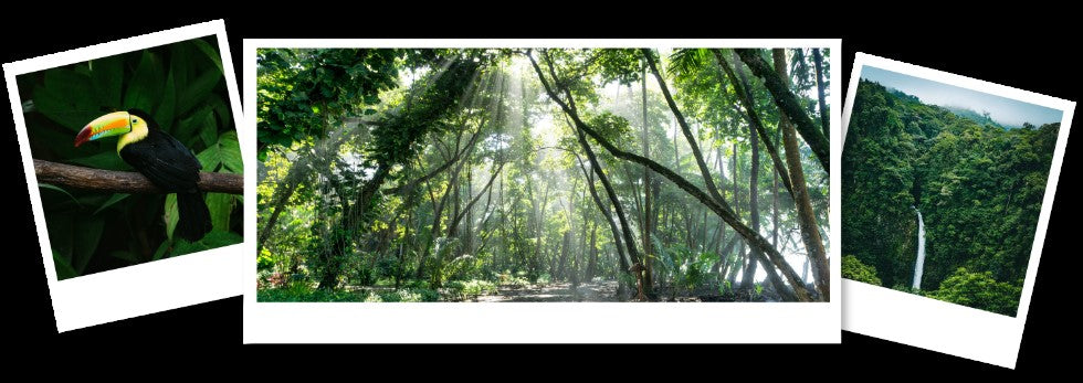 Ambientador Imao Aventura na Costa Rica
