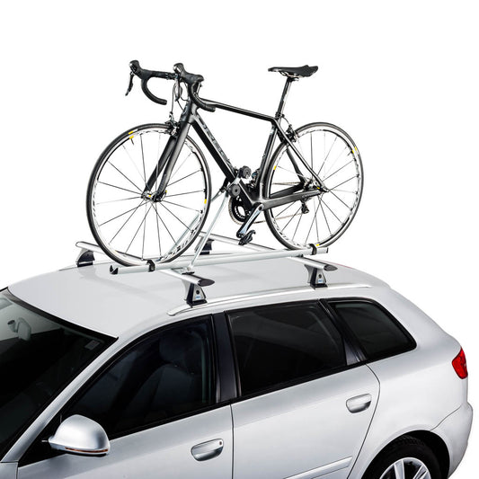 CRUZ Alu Bike #1