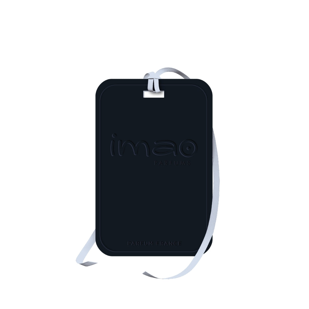 Ambientador Imao Viagem a Nova Iorque