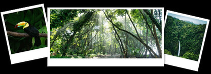 Ambientador Imao Aventura na Costa Rica